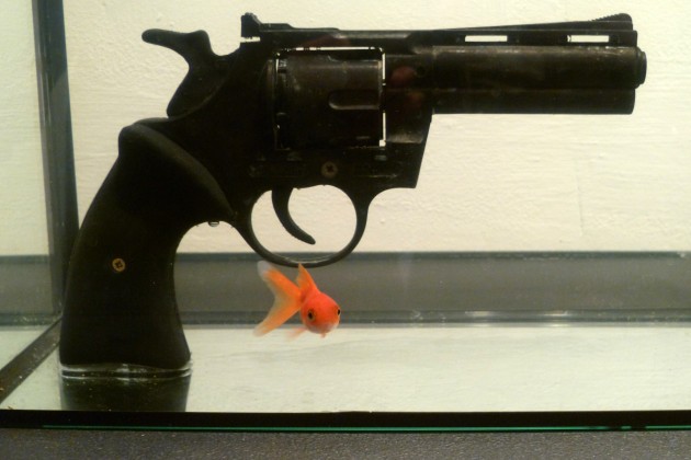 Rodolphe Cintorino, Galerie la Vitrine, Arles 2011 (c) Léonore Branche